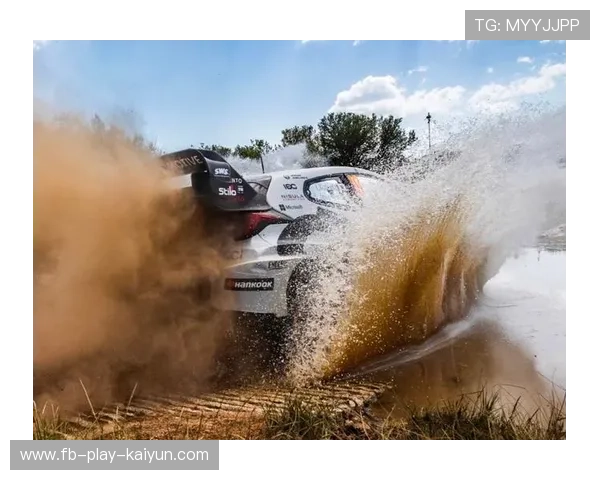 WRC赛道解析：翻越山丘与泥泞赛段的王者之战，wrc越野车