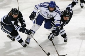 冰雪运动设备升级，滑雪服助力寒冷环境下的运动表现，冰道滑雪服
