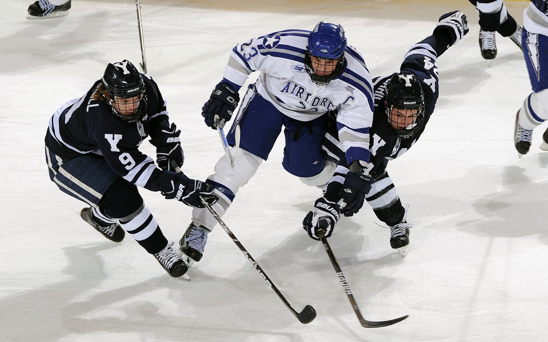 体育新闻中心团队协作亮点，体育新闻中心团队协作亮点怎么写